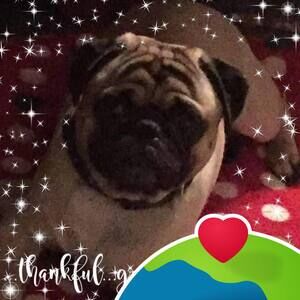 Meet your Posher, Sandy